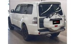 
Mitsubishi Pajero 2011 full									